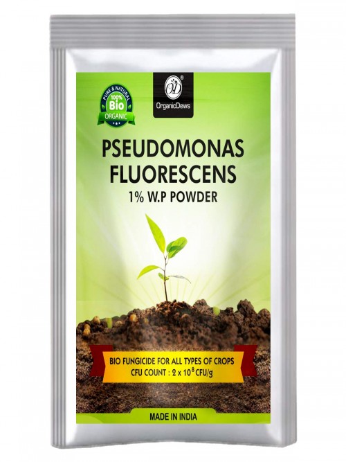 OrganicDews Pseudomonas Fluorescens Powder (2x10^8 CFU/g) Bio Fungicide for Seeds and Garden Plants - Against Root/Stem Rot, Wilt Fungal Diseases